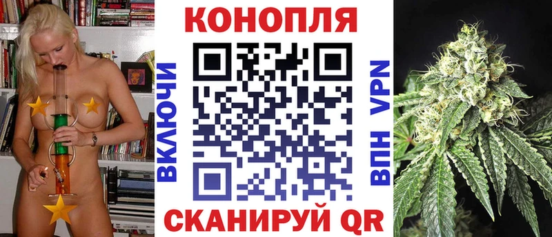 наркотики  ОМГ ОМГ ТОР  Бошки марихуана план  Алатырь 